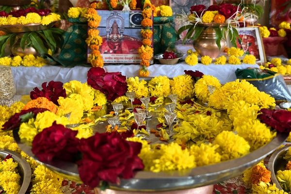 portfolio-Image